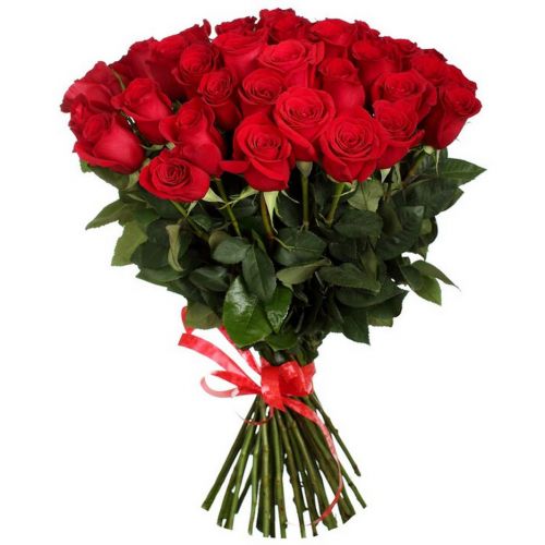 Купить 35 красных роз в интернет-магазине с доставкой по Новотроицку